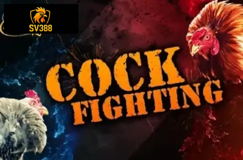 Cock Fighting